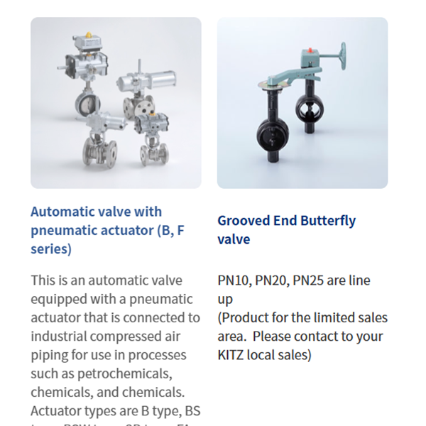 KITZ日本開滋閥門、10K電動(dòng)蝶閥EXS100-10DJUE-400A