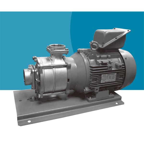 TERAL中～大流量/中揚程冷卻泵LPS653/2A-55.5LT-e