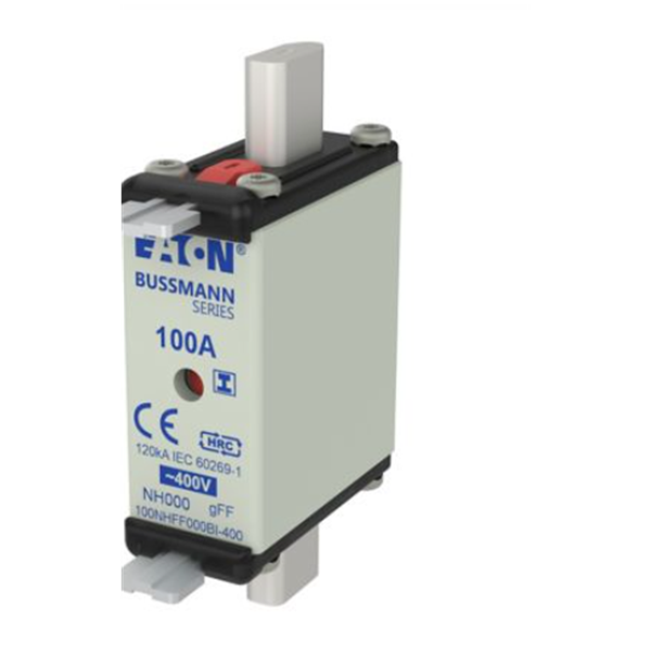 EATON伊頓Bussmann系列快速圓帽式熔斷器 FWX-40G22F